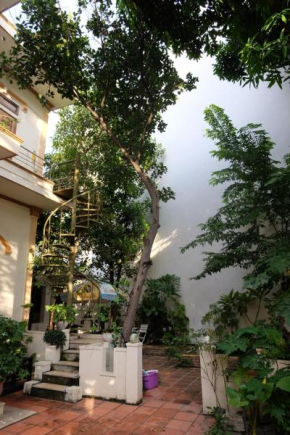 Moon house tropical garden - Valentine